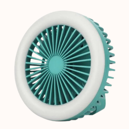 Rechargeable Electric Fan